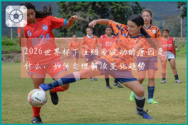 2026世界杯下注赔率波动的原因是什么，如何合理解读变化趋势