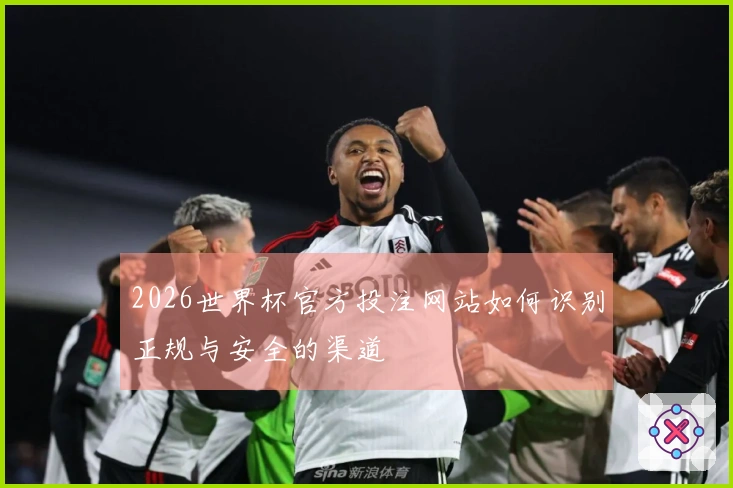 2026世界杯官方投注网站如何识别正规与安全的渠道