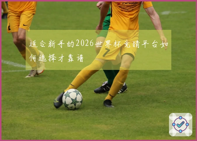 适合新手的2026世界杯竞猜平台如何选择才靠谱