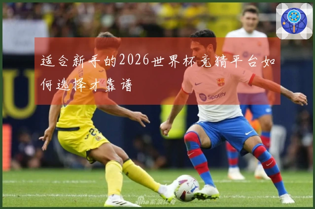 适合新手的2026世界杯竞猜平台如何选择才靠谱