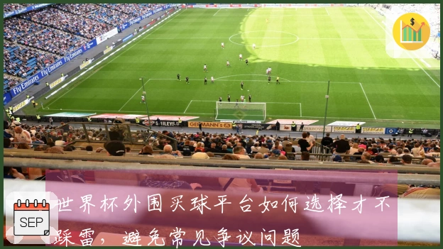 世界杯外围买球平台如何选择才不踩雷，避免常见争议问题