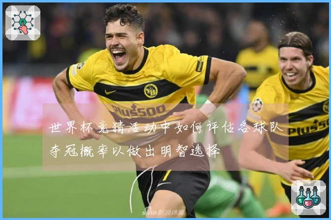 世界杯竞猜活动中如何评估各球队夺冠概率以做出明智选择